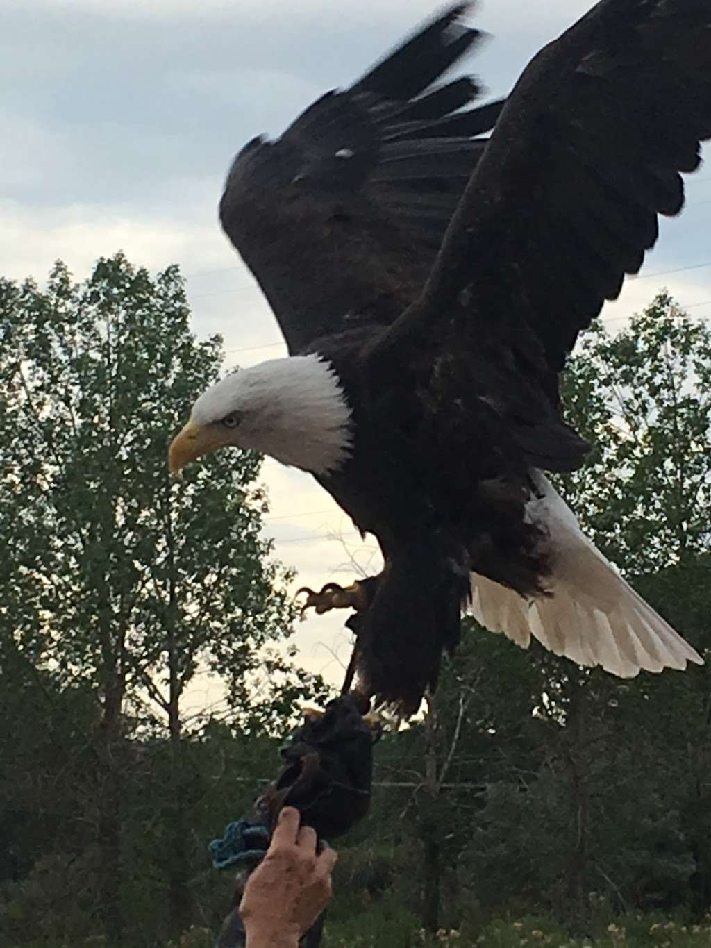 Audubon Center at Chatfield | 11280 Waterton Rd, Littleton, CO 80125, USA | Phone: (303) 973-9530