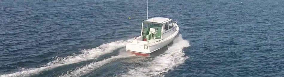 LEGAL LIMIT CHARTERS | Utschs Marina, 1121 NJ-109, Cape May, NJ 08204, USA | Phone: (609) 405-4591