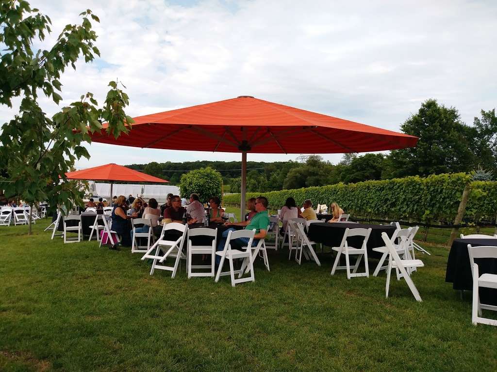 Beneduce Vineyards | 1 Jeremiah Ln, Pittstown, NJ 08867, USA | Phone: (908) 996-3823