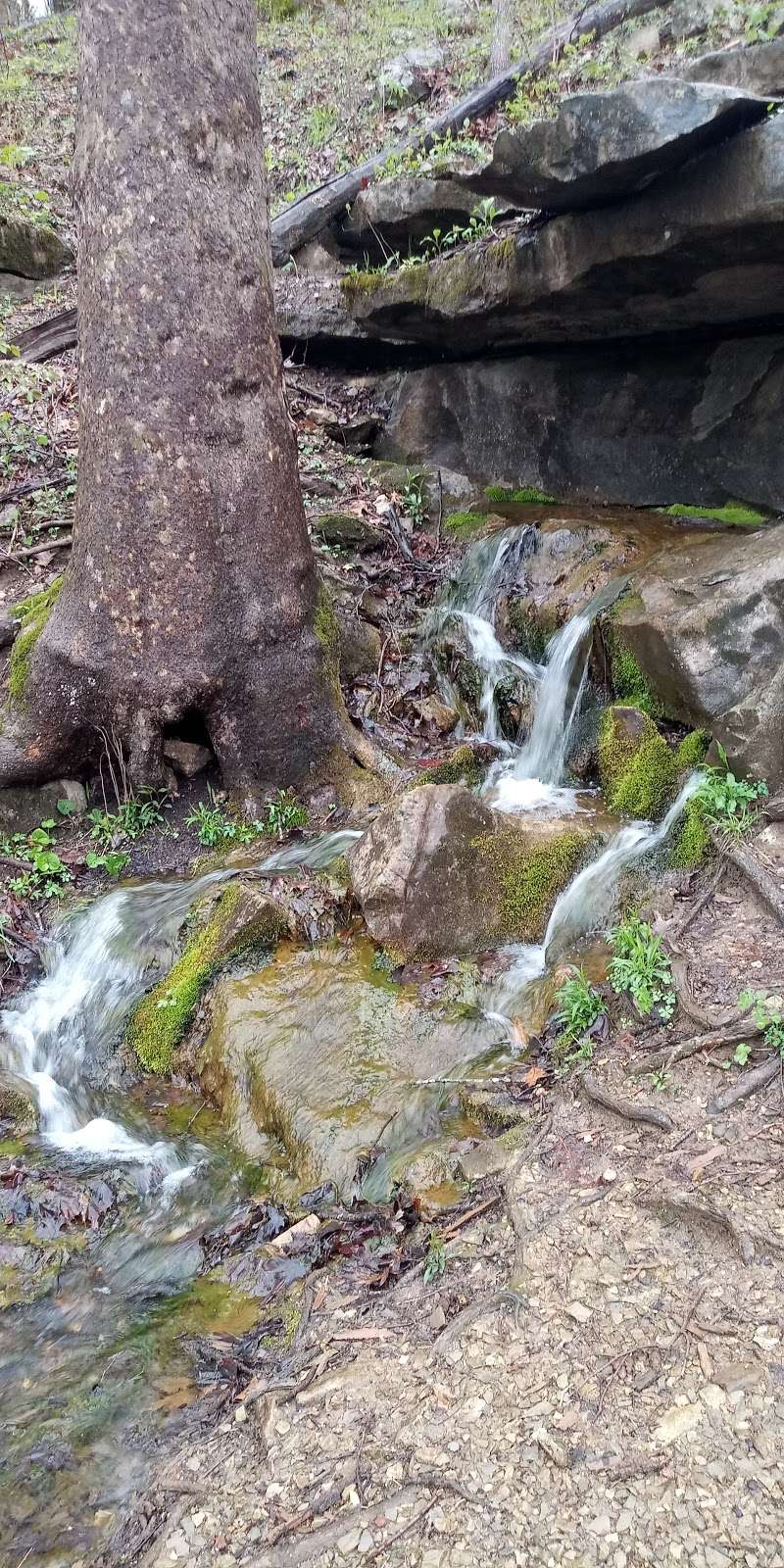 McCormick’s Creek Canyon Falls | Spencer, IN 47460