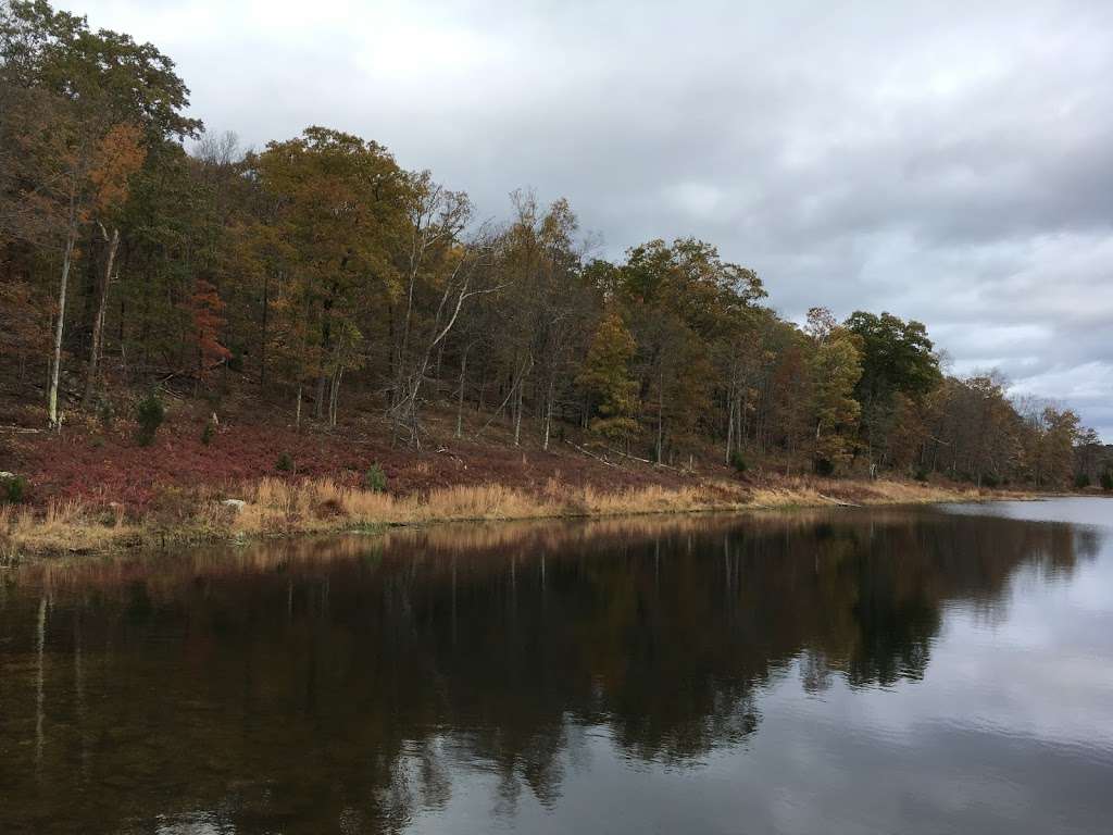 Blue Mountsin Lakes Parking Lot | Sandyston, NJ 07851