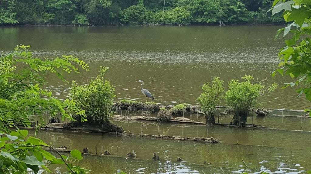 Mallows Bay Park | Nanjemoy, MD 20662, USA