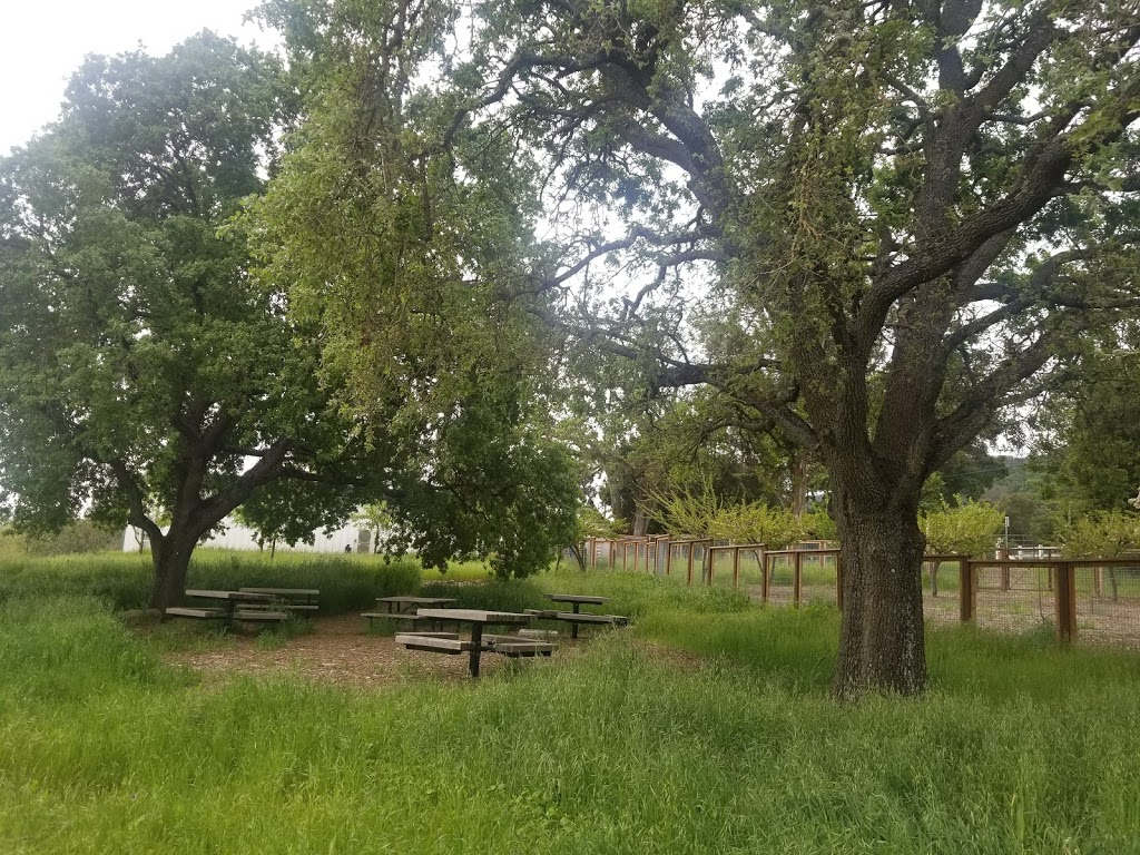 Alviso Adobe Community Park | 3465 Old Foothill Rd, Pleasanton, CA 94588 | Phone: (925) 931-3479