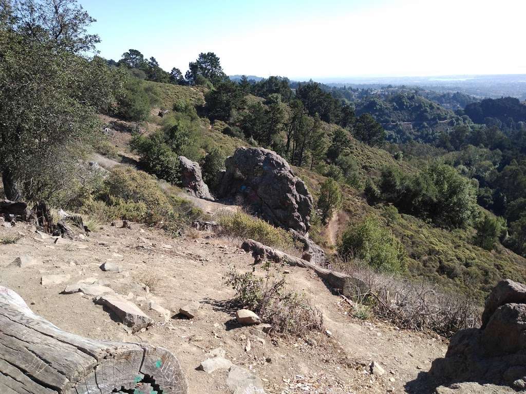 Grizzly Peak Vista Point | Berkeley, CA 94705