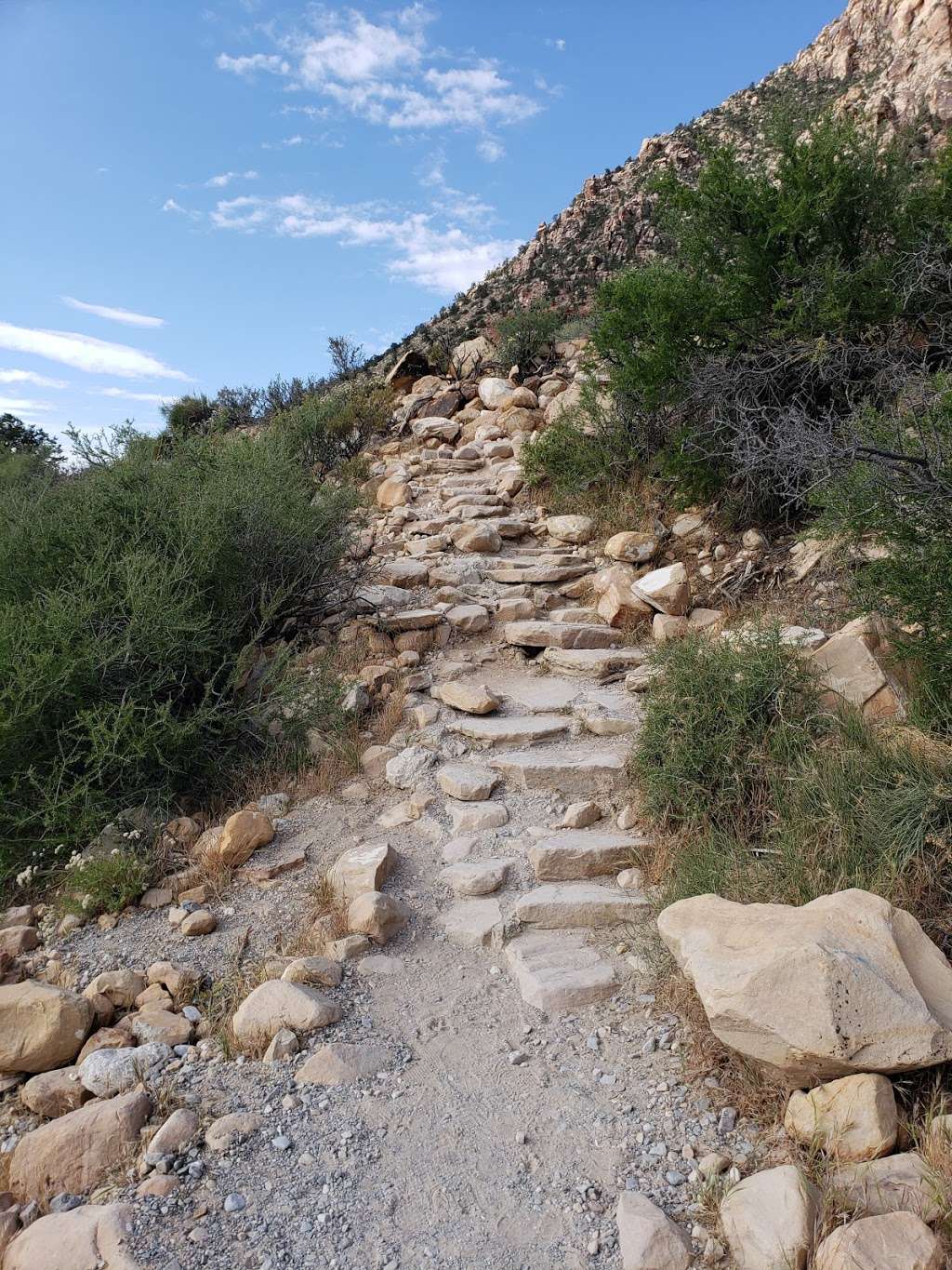 Spring Mountain Youth Camp Trail | Scenic Loop Dr, Las Vegas, NV 89161