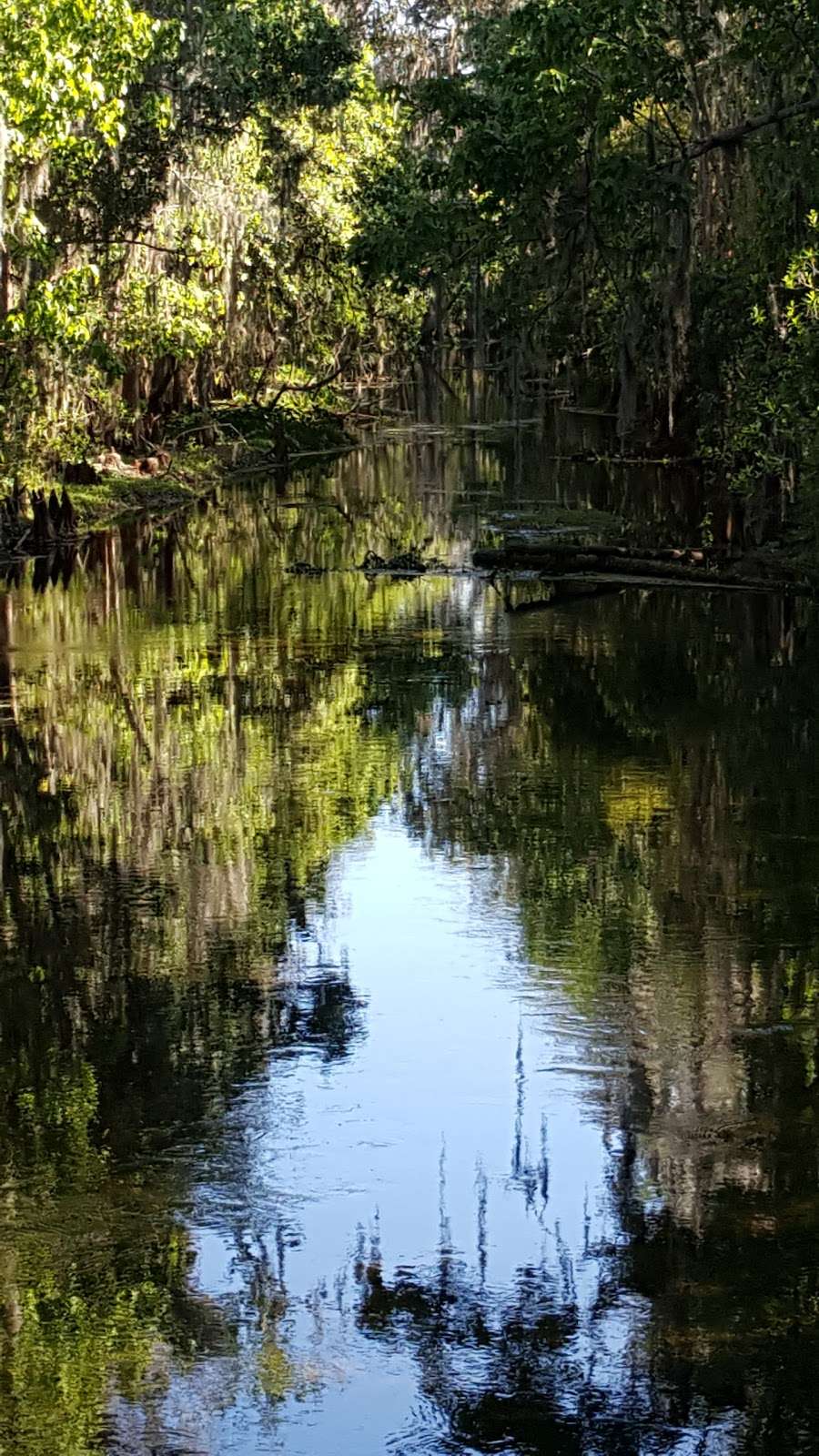 Shingle Creek Trail: Pine Island East Loop | Orlando, FL 32837