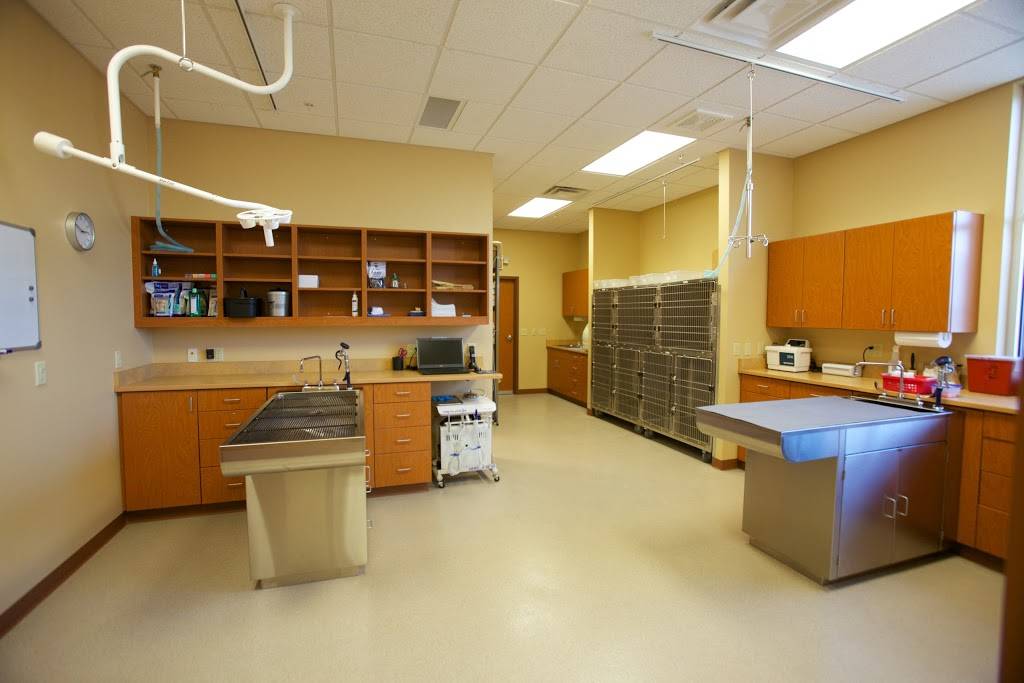 Lakeview Animal Clinic Dr. Anna Schwister | 617 Ryan St #280, Pewaukee, WI 53072, USA | Phone: (262) 695-6120
