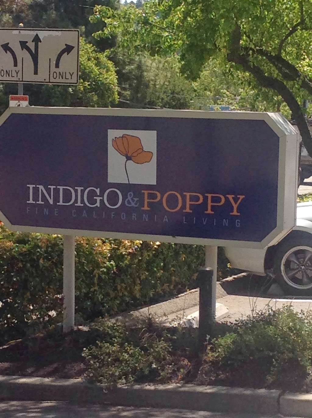 Indigo & Poppy | 1009 Oak Hill Rd, Lafayette, CA 94549 | Phone: (925) 962-9201