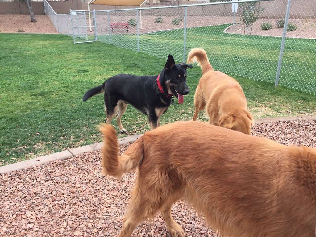 Trailwood Dog Park | 4224-4228 N 112th Ln, Phoenix, AZ 85037, USA