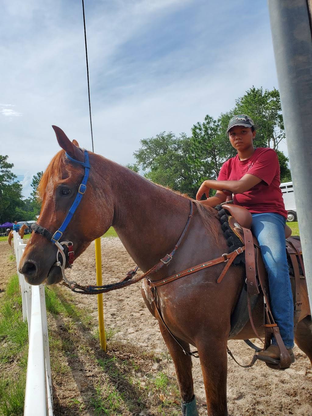 Clay Mavericks Saddle Club | 308 Tanglewood Blvd, Orange Park, FL 32065, USA | Phone: (904) 282-1631