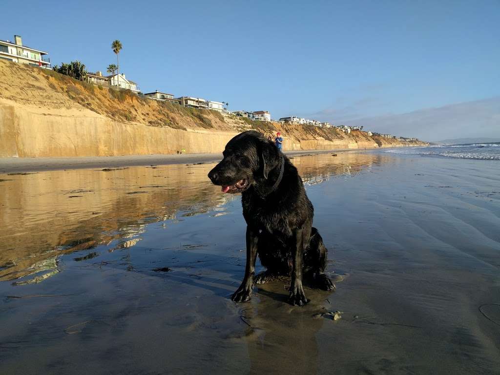 Tide Park Beach | 505 Pacific Ave, Solana Beach, CA 92075, USA