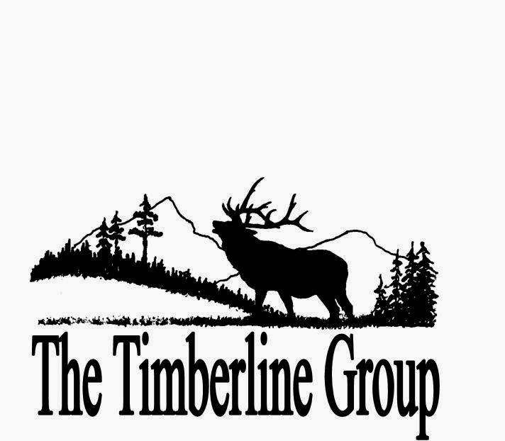 The Timberline Group | 123 S Main St, Dousman, WI 53118, USA | Phone: (262) 965-5099