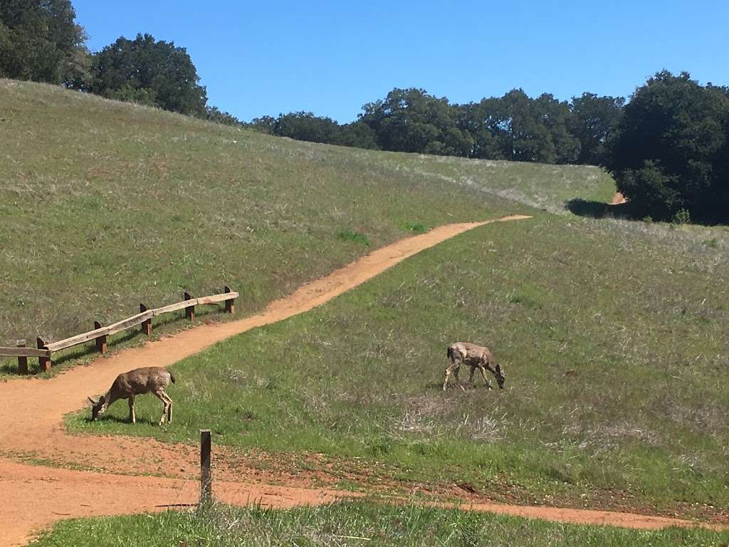 Rhus Ridge Trailhead | Rhus Ridge Trail, Los Altos Hills, CA 94022, USA