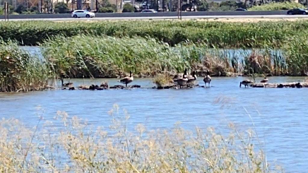 Waterbird Regional Preserve | Waterfront Rd, Martinez, CA 94553 | Phone: (888) 327-2757