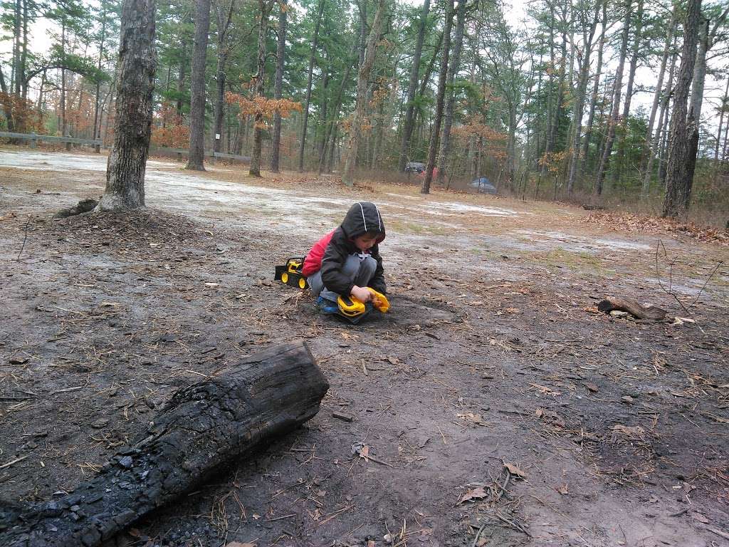 Goshen Pond Camping Area | Wharton State Forest, Shamong, NJ 08088, USA | Phone: (609) 268-0444