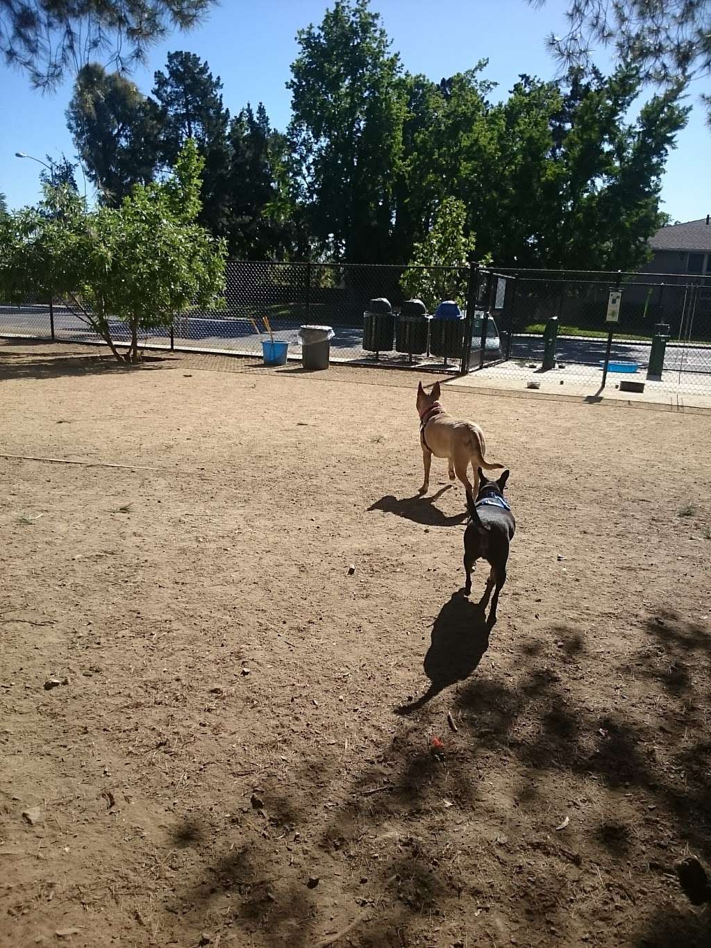 Mary Avenue Dog Park | 10309 Mary Ave, Cupertino, CA 95014, USA