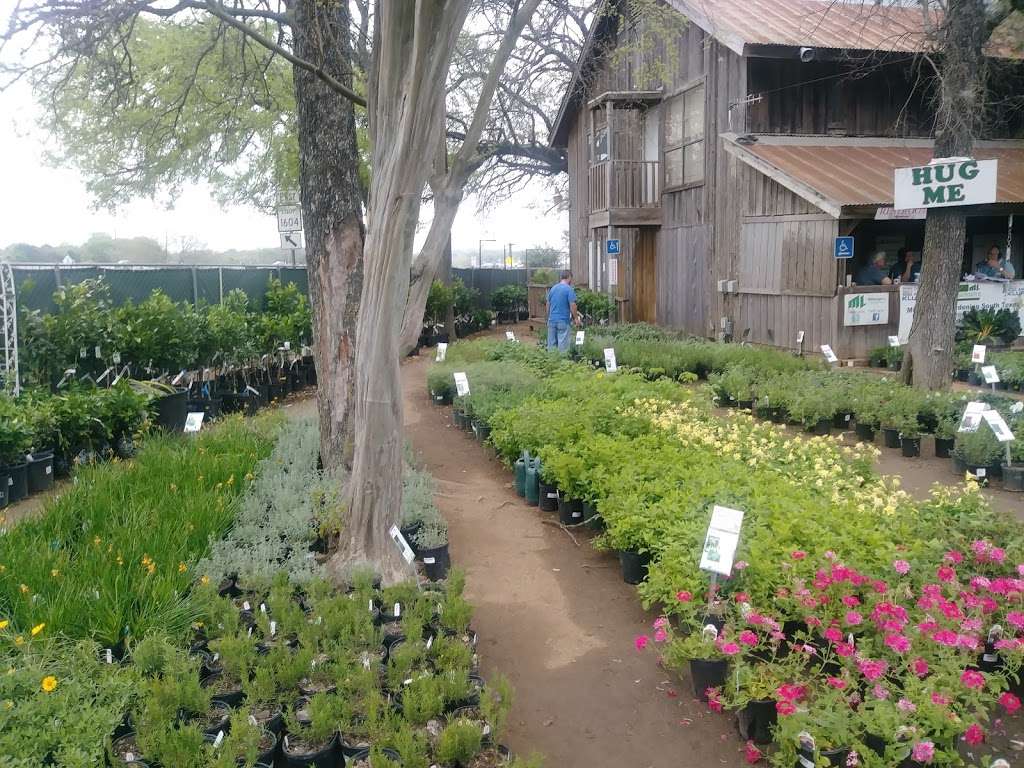 Milbergers Landscaping And Nursery | 3920 N Loop 1604 E, San Antonio, TX 78247, USA | Phone: (210) 497-3760