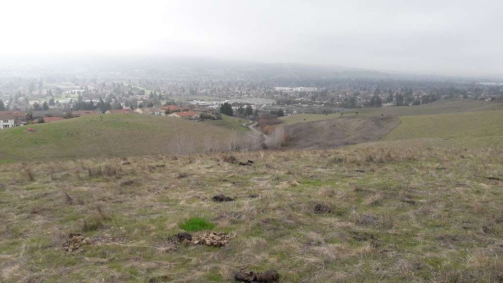 Dougherty Valley Ridge Trail | Dougherty Hills Trail, San Ramon, CA 94582, USA