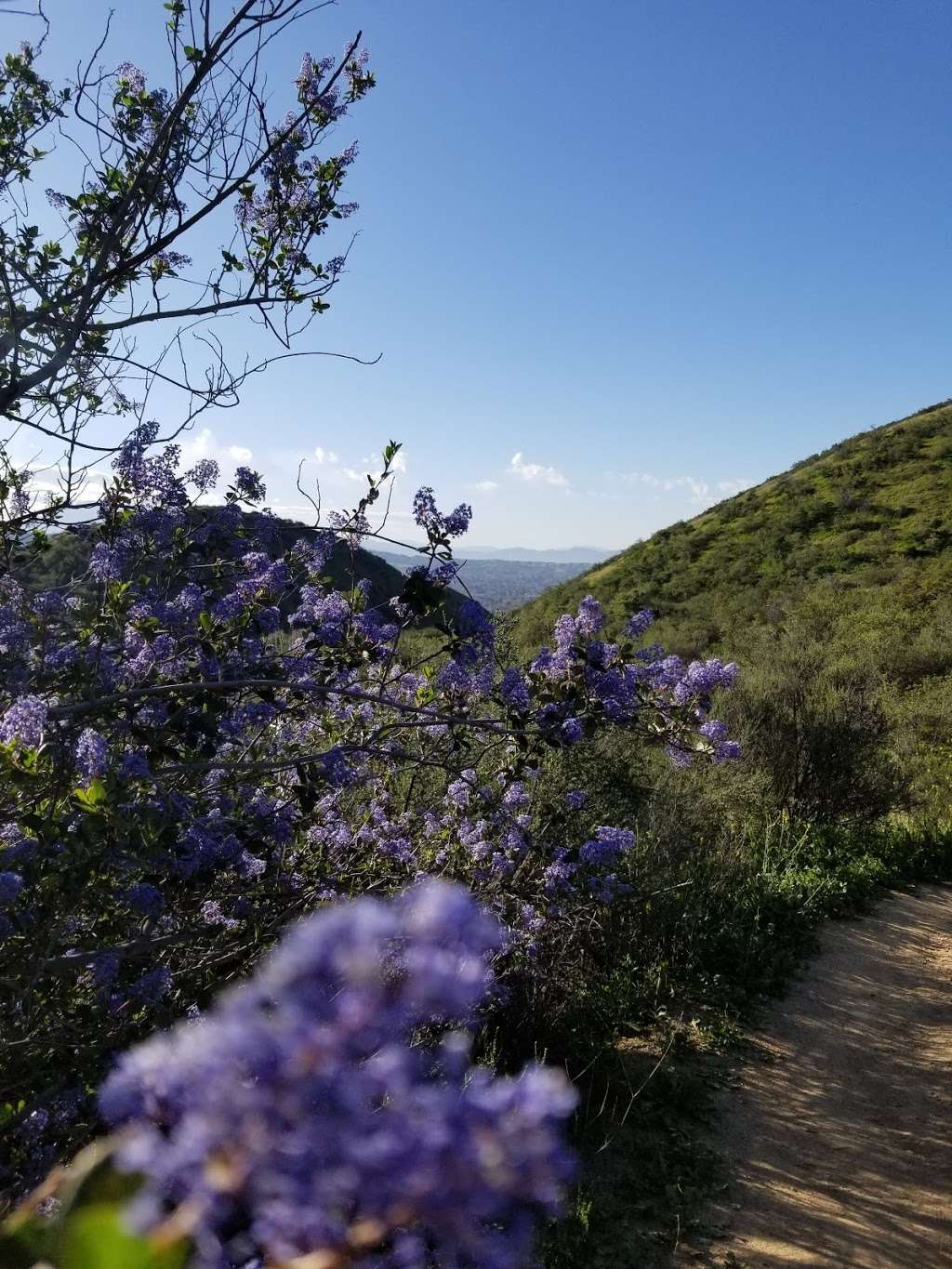 Zanja Peak Trailhead | 030312104, Yucaipa, CA 92399, USA