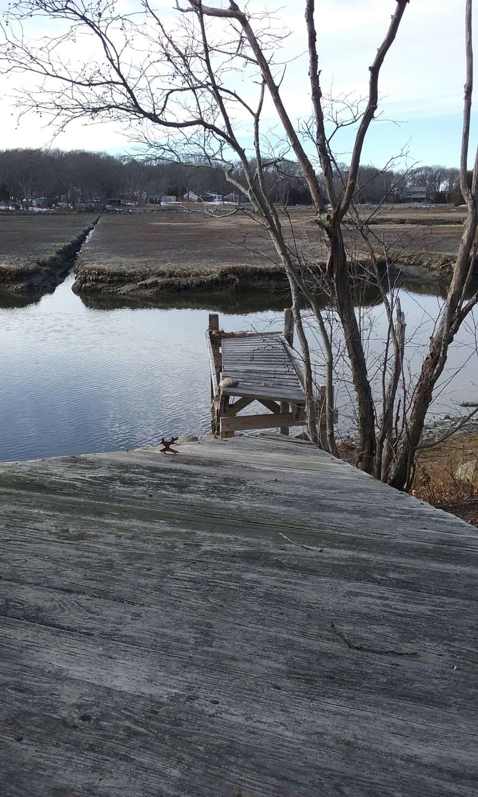 English Salt Marsh | Marshfield, MA 02050, USA