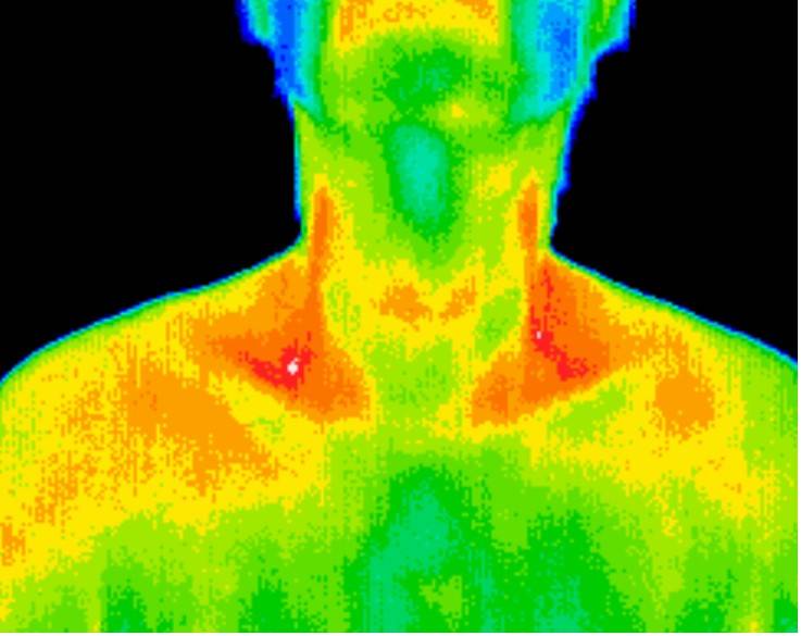 East Valley Thermography | 2450 S Arizona Ave Ste 1, Chandler, AZ 85286, USA | Phone: (602) 730-1644