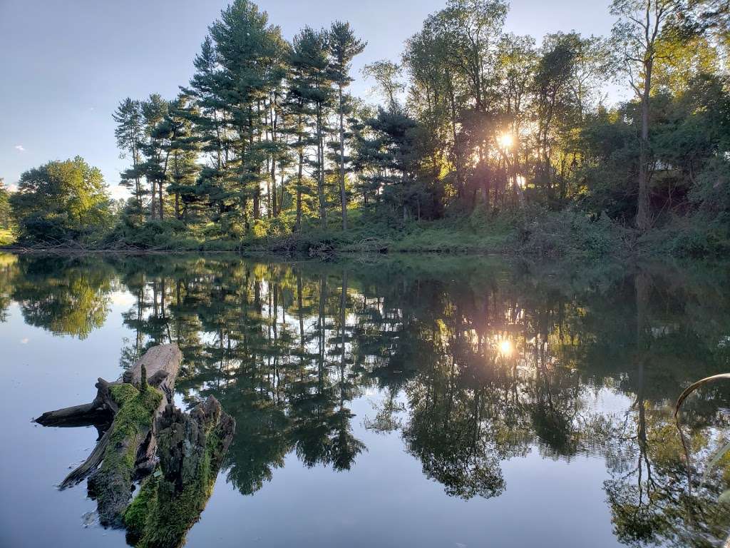 Needwood hiker-biker trail | Derwood, MD 20855, USA