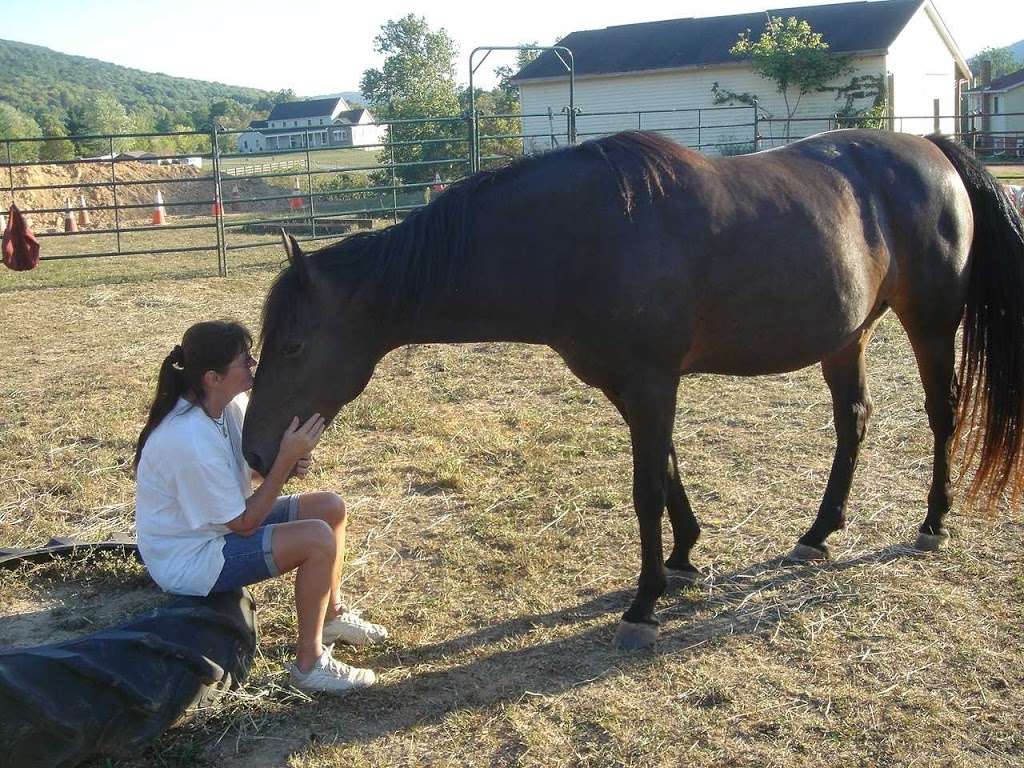 Natural Equine Living | 19808 Norstar Ln, Knoxville, MD 21758 | Phone: (301) 432-5441