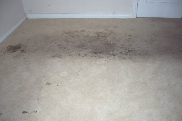 Carpet Cleaning Mckinney TX | 1911 Lands End Dr, Allen, TX 75013, USA | Phone: (469) 702-1202