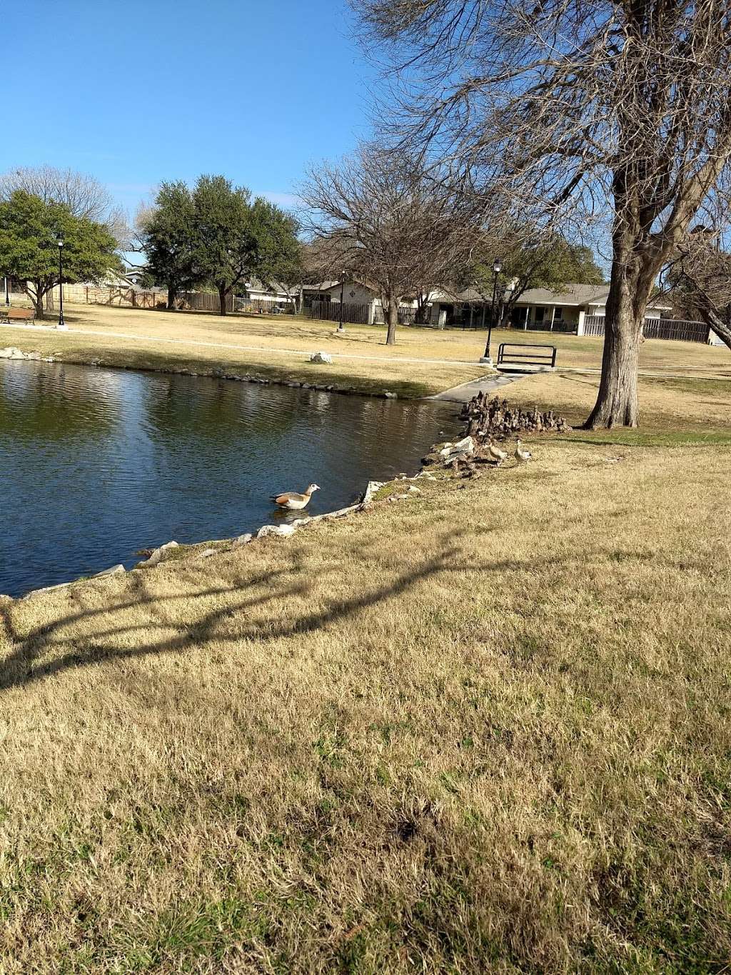 Autumn Sunset | Eagle Crest Blvd/Windrock Dr, 78239, Windcrest, TX 78239, USA