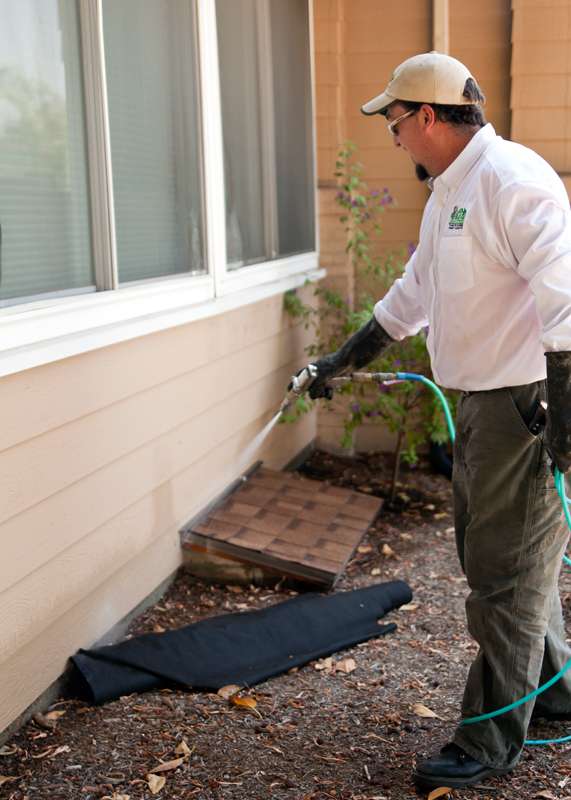 Sage Exterminators | 8310 Sunview Dr, El Cajon, CA 92021, USA | Phone: (619) 215-9110