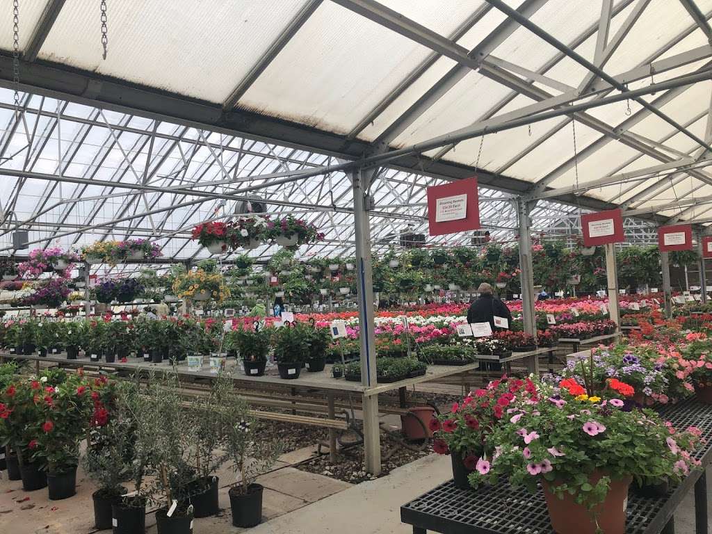 Bennetts Greenhouse | 3651 McCarty Ln, Lafayette, IN 47905, USA | Phone: (765) 447-7636