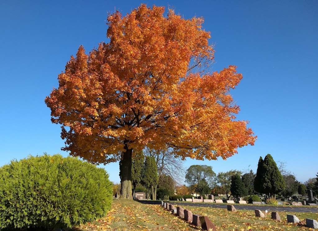 St Adalbert-Catholic Cemeteries | 3801 S 6th St, Milwaukee, WI 53221, USA | Phone: (414) 483-3663