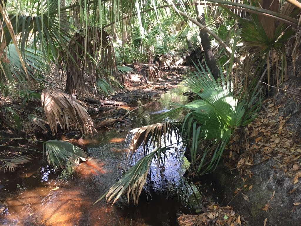 Jones East Trailhead | Oviedo, FL 32766, USA