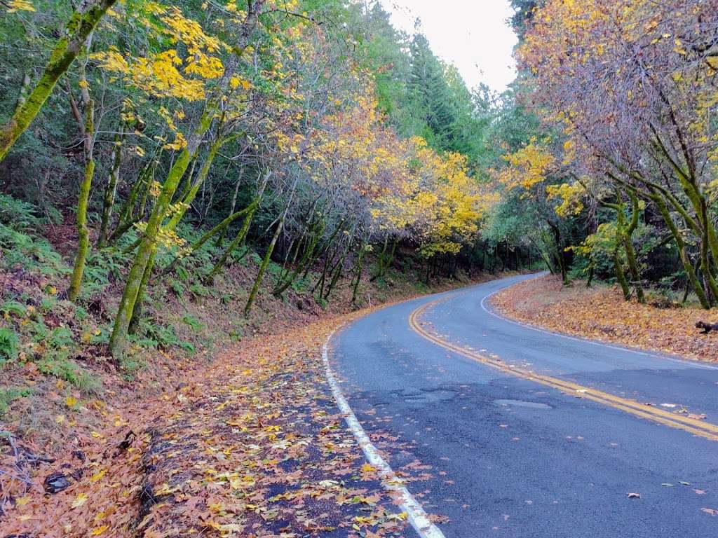 Bear Creek Redwoods Open Space Preserve | Los Gatos, CA 95033, USA | Phone: (650) 691-1200