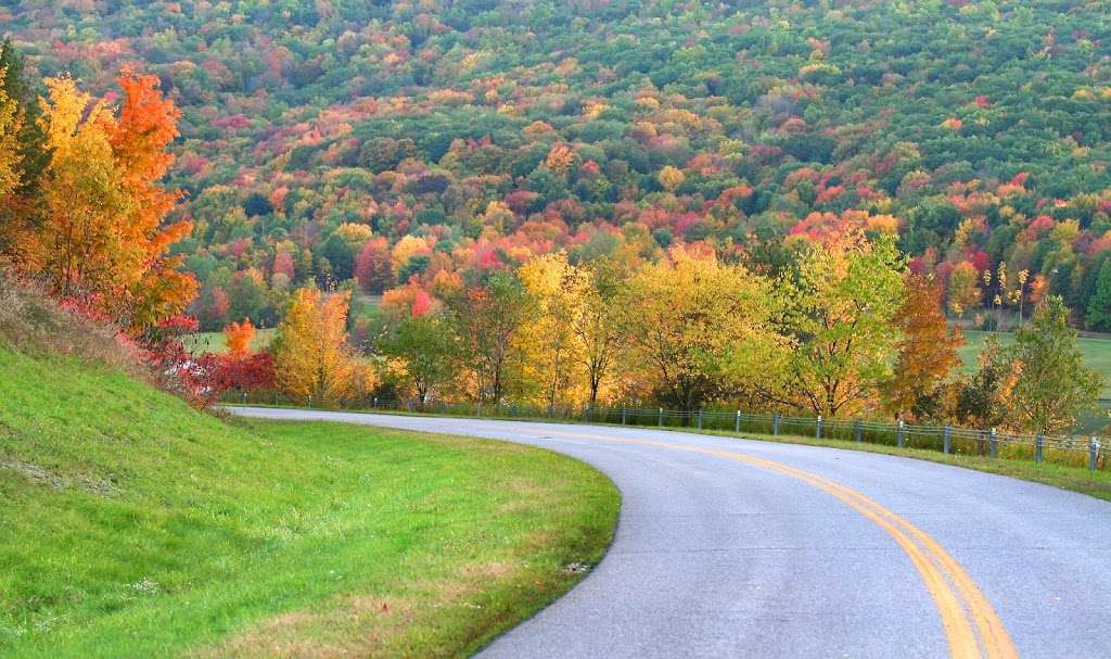 Northeast Title & Tag | State 3236, PA-940, Mt Pocono, PA 18344, USA | Phone: (570) 895-1000 ext. 2006