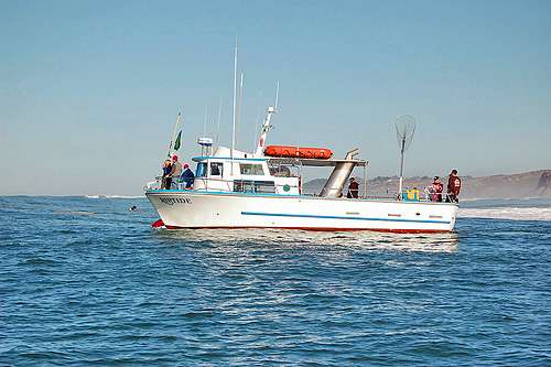 Riptide Charters | 27 Johnson Pier, Half Moon Bay, CA 94019, USA | Phone: (650) 728-8433