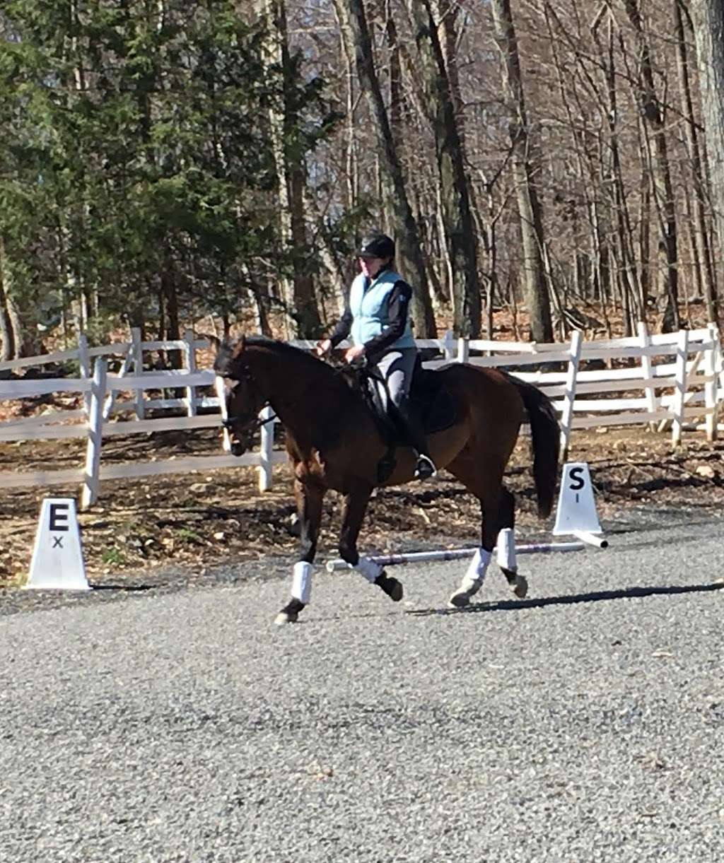 Silver Lining Stables | 38 Carmen Ln, Monroe, CT 06468, USA | Phone: (203) 445-6318