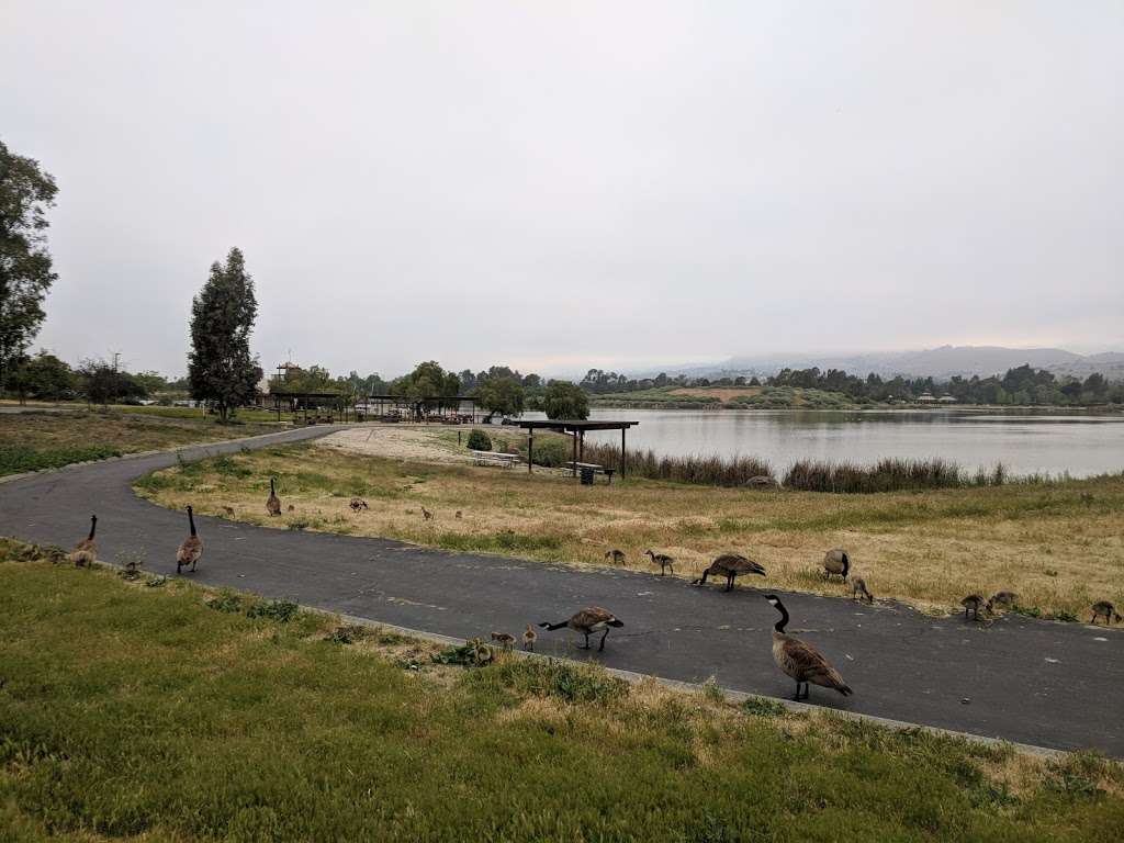 Lake Cunningham Native Garden | 2305 S White Rd, San Jose, CA 95148, USA | Phone: (408) 794-7565