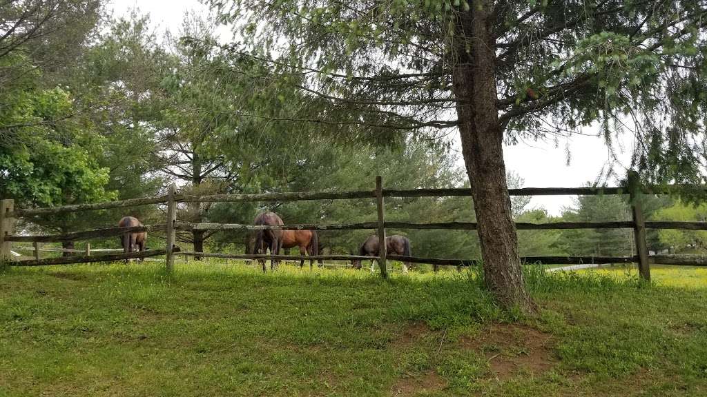 Natural Lands Peacedale Preserve | Peacedale Rd, Landenberg, PA 19350 | Phone: (610) 344-3443