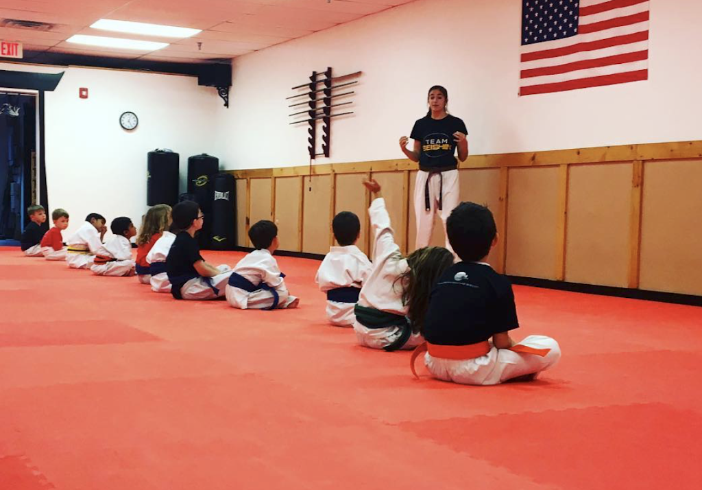 Seishin Martial Arts / Sport Karate Academy | 74 Main St, Medway, MA 02053, USA | Phone: (508) 533-1501