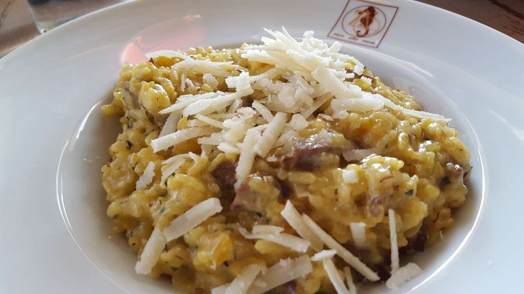 Zero Otto Nove | 55 Old Rte 22, Armonk, NY 10504, USA | Phone: (914) 273-0089 Zero Otto Nove | 55 Old Rte 22, Armonk, NY 10504, USA | Phone: (914) 273-0089