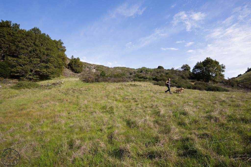 Cascade Falls | Cascade Falls Trail, Fairfax, CA 94930 | Phone: (571) 608-2147