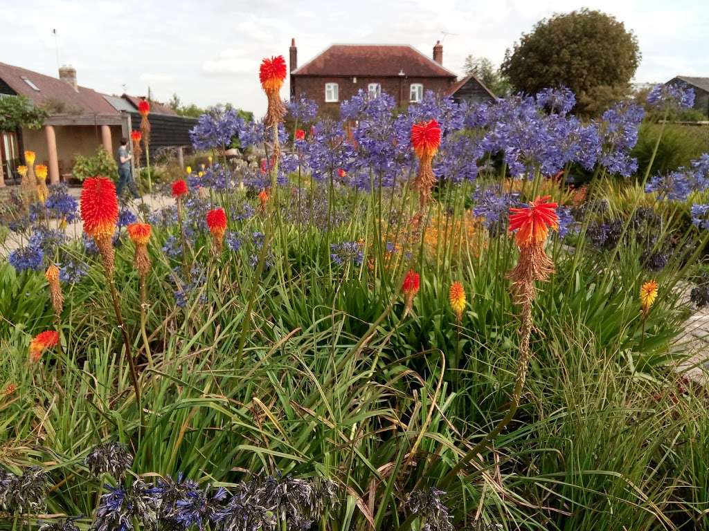 Longhouse Plants | The Long House, Church Rd, Noak Hill, Romford RM4 1LD, UK | Phone: 01708 371719