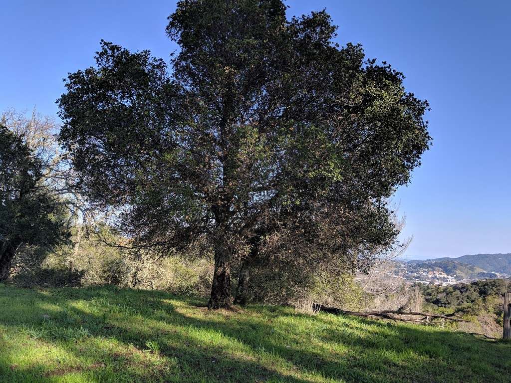 Terra Linda Sleepy Hollow Ridge | Manuel T Freitas Pkwy, San Rafael, CA 94903, USA