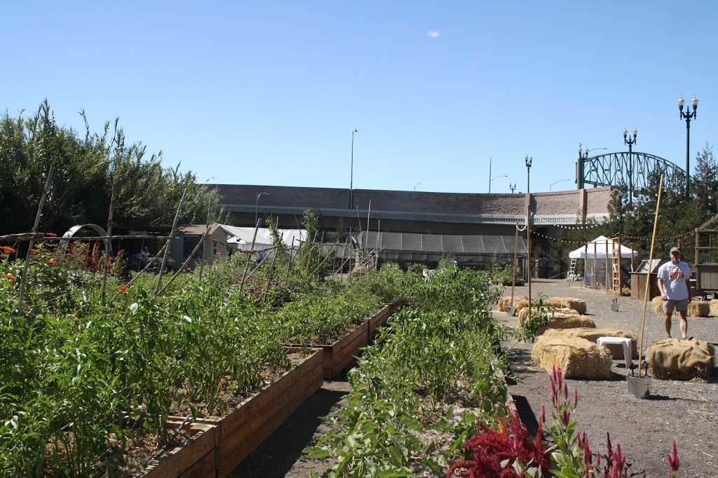 Taylor Street Farms — Urban Gardening in Chicago | 900 S Ada St, Chicago, IL 60607, USA