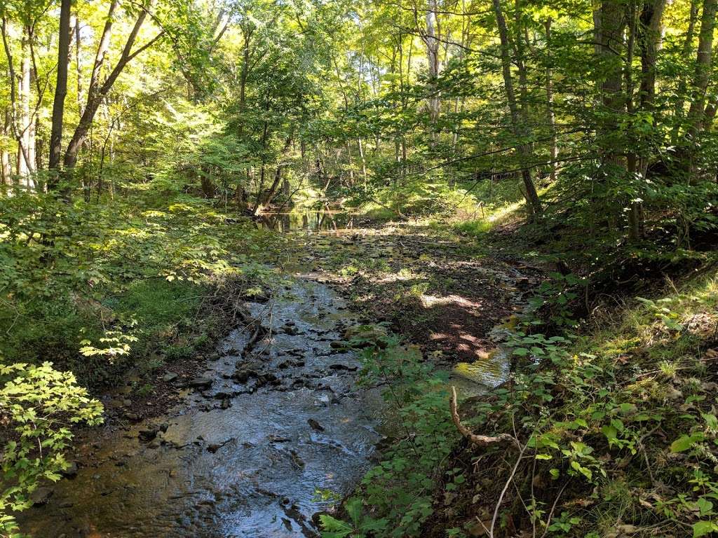 Griggstown Native Grassland Preserve | Princeton, NJ 08540