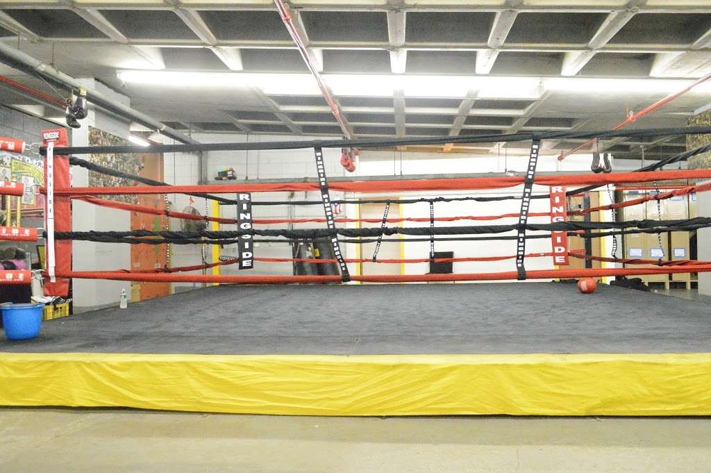 Starrett City Boxing Club | 1540 Van Siclen Ave, Brooklyn, NY 11239, USA | Phone: (347) 722-1356