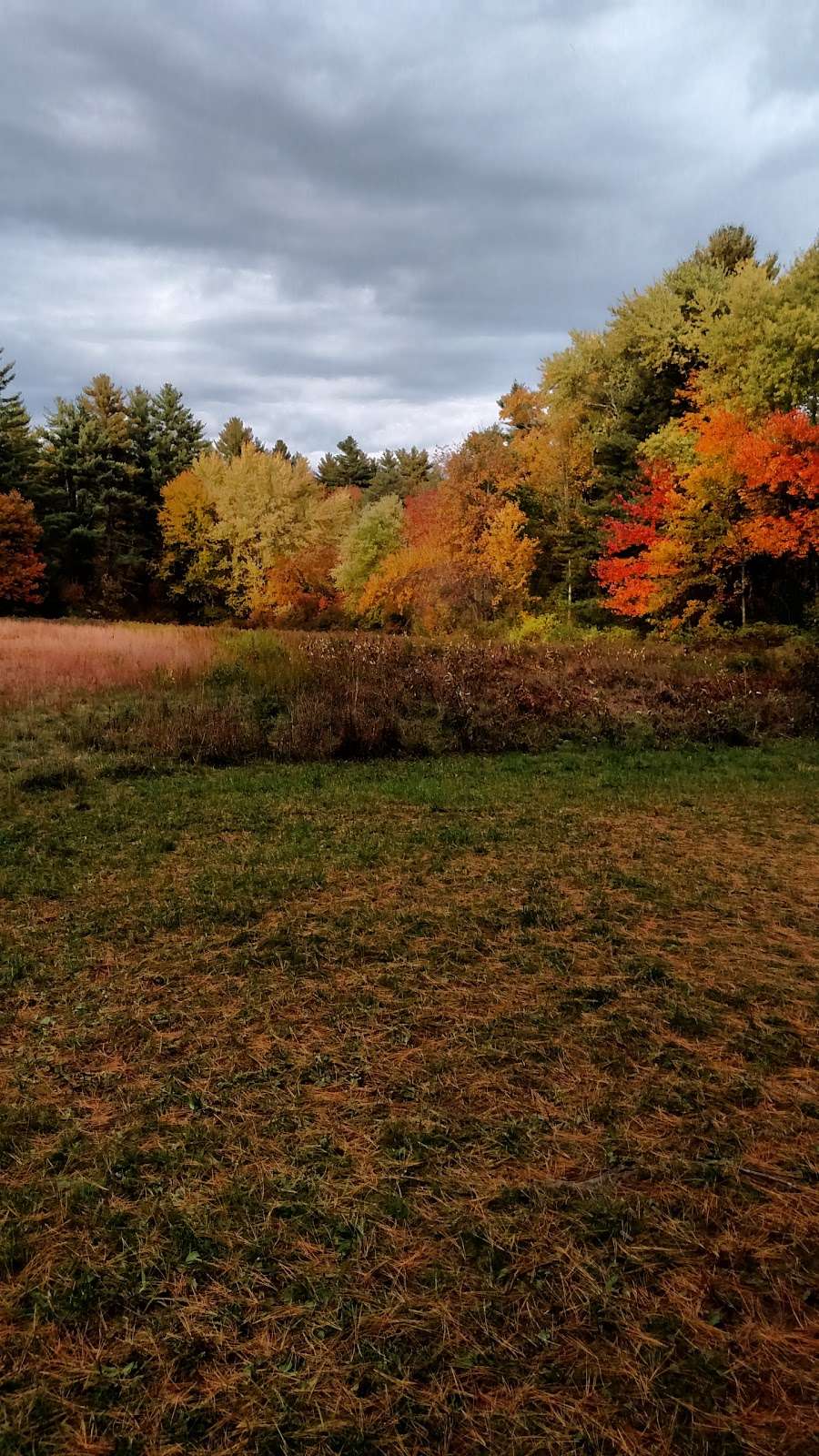 Kazanjians Groton Nursery & Garden Center | 386 West Main Street, West Groton, MA 01472, USA | Phone: (978) 448-5761