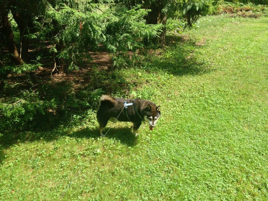 David C. Shaw Arboretum | Holmdel Park, Pond Walk, Holmdel, NJ 07733