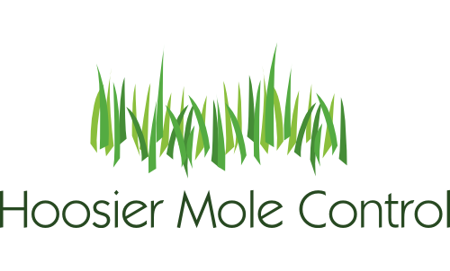 Hoosier Mole Control | 990 E Warren St, Martinsville, IN 46151 | Phone: (314) 603-2692